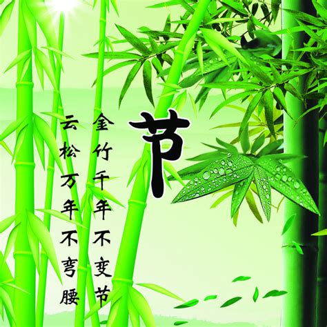 竹子的寓意|竹子精神